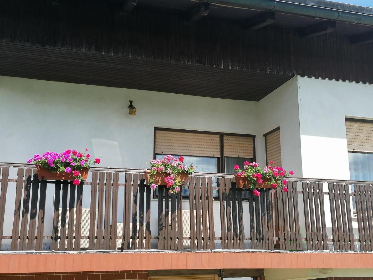 Apartments Novak Ljubno Exterior foto